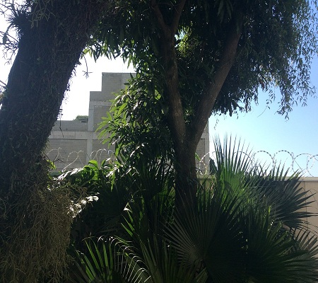 Gallery Image 15